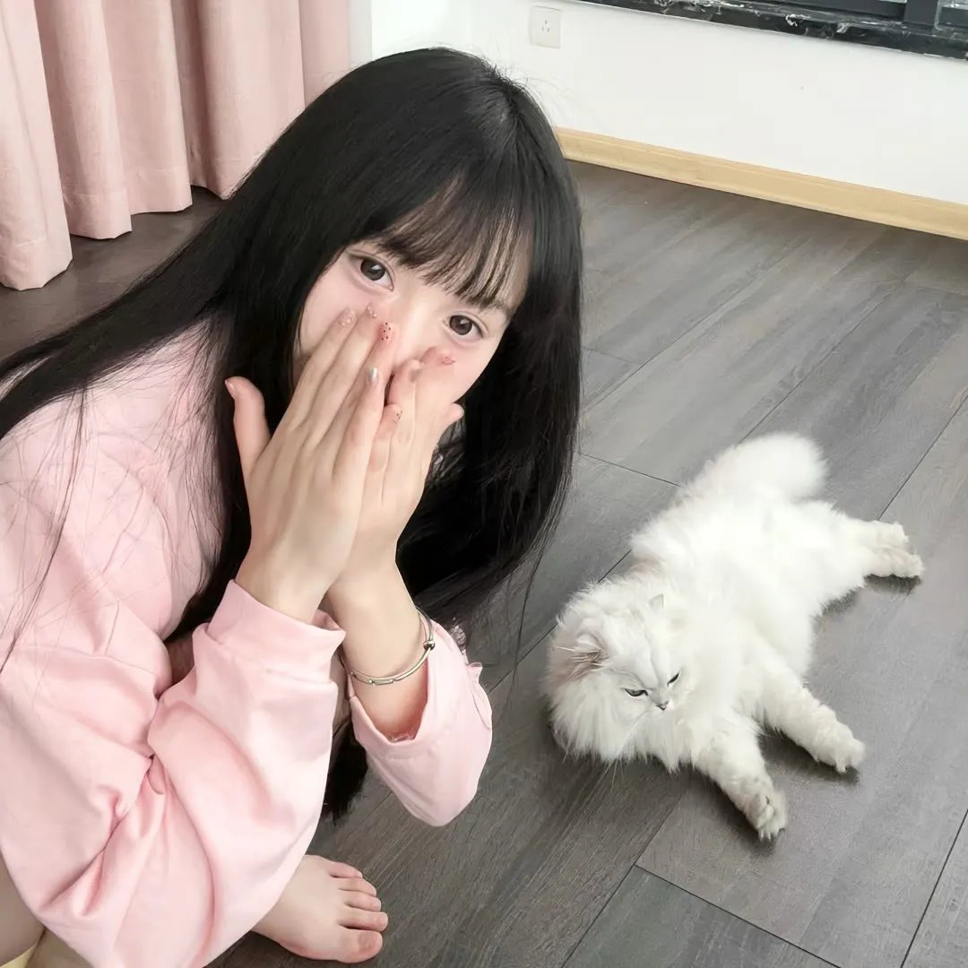百科全说